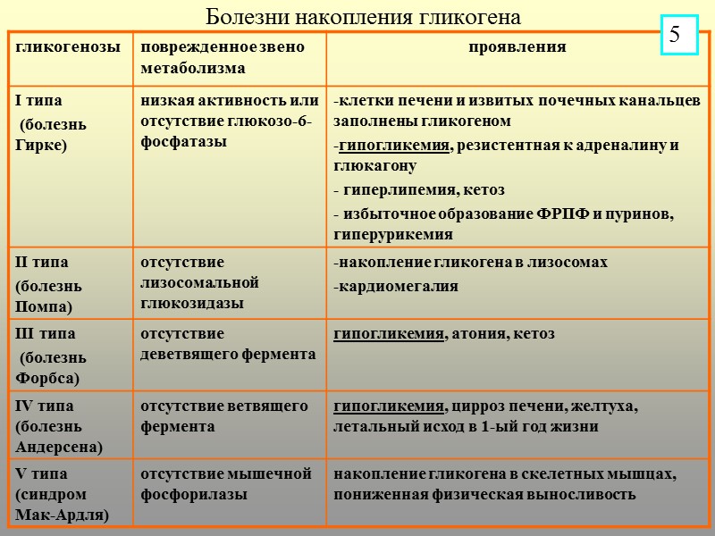 Болезни накопления гликогена 5